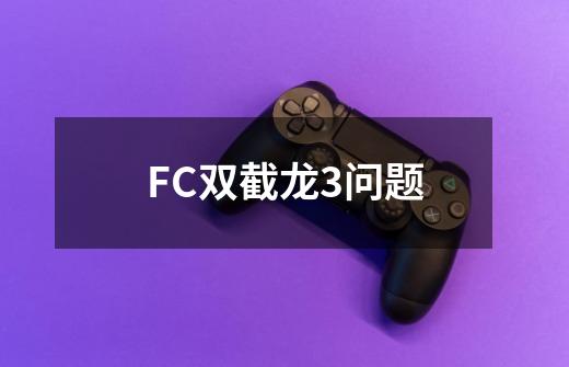 FC双截龙3问题-第1张-游戏信息-龙启网