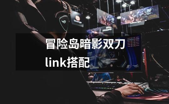 冒险岛暗影双刀link搭配-第1张-游戏信息-龙启网