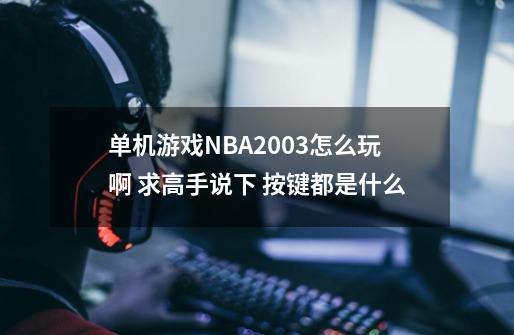 单机游戏NBA2003怎么玩啊 求高手说下 按键都是什么-第1张-游戏信息-龙启网