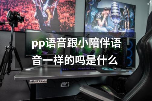 pp语音跟小陪伴语音一样的吗是什么-第1张-游戏信息-龙启网