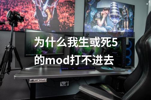 为什么我生或死5的mod打不进去-第1张-游戏信息-龙启网