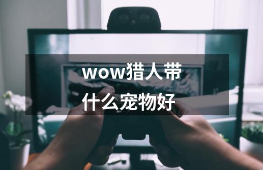 wow猎人带什么宠物好-第1张-游戏信息-龙启网