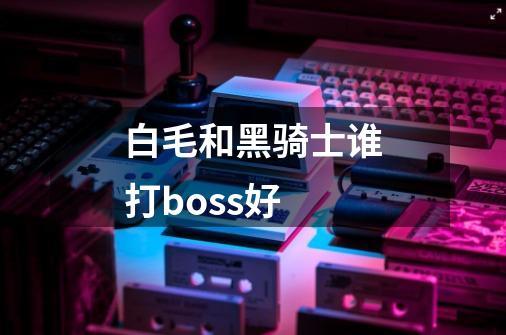 白毛和黑骑士谁打boss好-第1张-游戏信息-龙启网