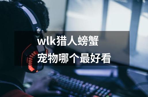 wlk猎人螃蟹宠物哪个最好看-第1张-游戏信息-龙启网