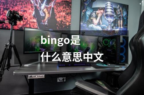 bingo是什么意思中文-第1张-游戏信息-龙启网