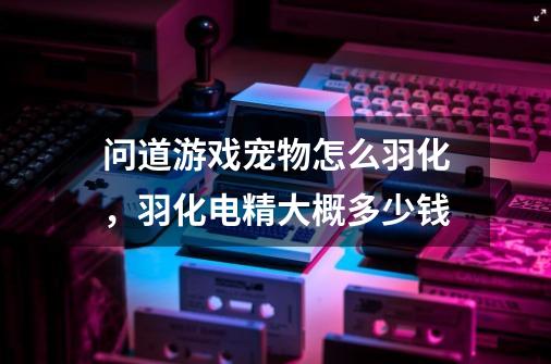 问道游戏宠物怎么羽化，羽化电精大概多少钱-第1张-游戏信息-龙启网