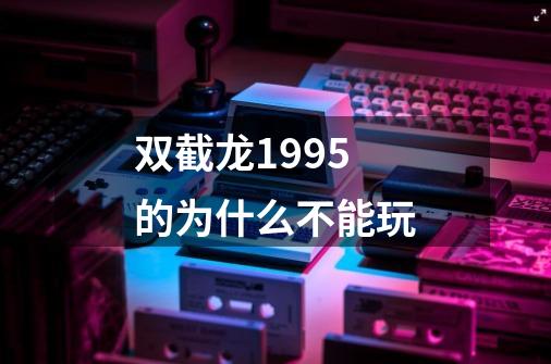 双截龙1995的为什么不能玩-第1张-游戏信息-龙启网