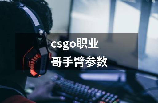 csgo职业哥手臂参数-第1张-游戏信息-龙启网