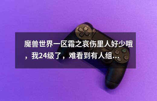 魔兽世界一区霜之哀伤里人好少哦，我24级了，难看到有人组对，请问新手最好去哪个区-第1张-游戏信息-龙启网