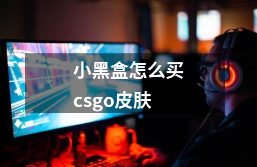 小黑盒怎么买csgo皮肤-第1张-游戏信息-龙启网