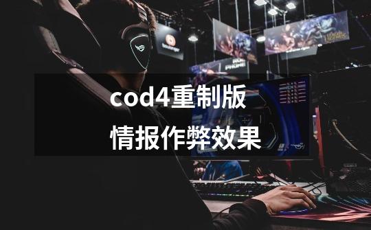 cod4重制版情报作弊效果-第1张-游戏信息-龙启网