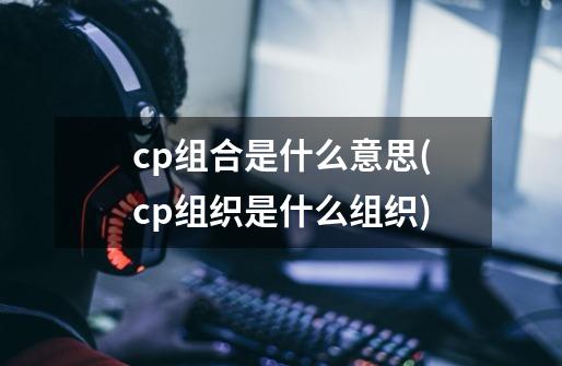 cp组合是什么意思(cp组织是什么组织)-第1张-游戏信息-龙启网