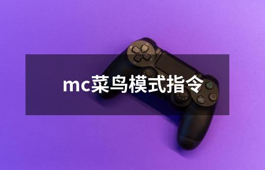 mc菜鸟模式指令-第1张-游戏信息-龙启网