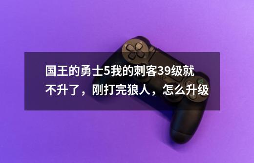 国王的勇士5我的刺客39级就不升了，刚打完狼人，怎么升级-第1张-游戏信息-龙启网