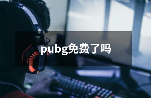 pubg免费了吗-第1张-游戏信息-龙启网