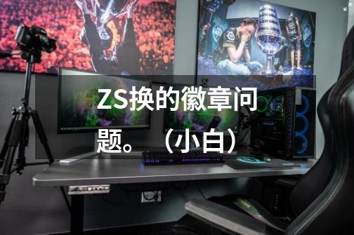 ZS换的徽章问题。（小白）-第1张-游戏信息-龙启网