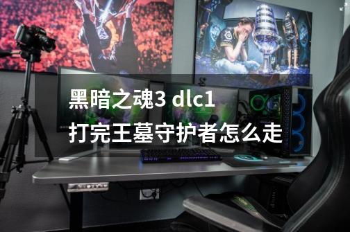 黑暗之魂3 dlc1 打完王墓守护者怎么走-第1张-游戏信息-龙启网