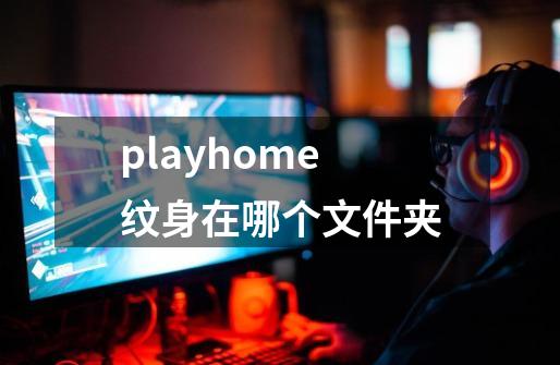 playhome纹身在哪个文件夹-第1张-游戏信息-龙启网