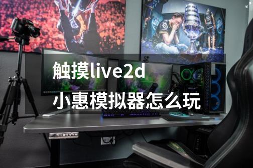 触摸live2d小惠模拟器怎么玩-第1张-游戏信息-龙启网