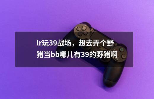 lr玩39战场，想去弄个野猪当bb哪儿有39的野猪啊-第1张-游戏信息-龙启网