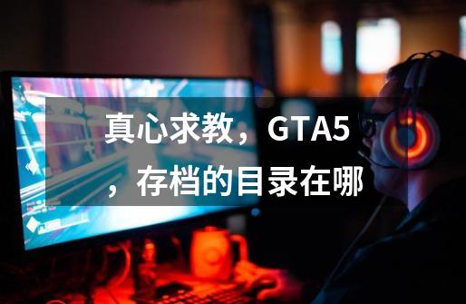 真心求教，GTA5，存档的目录在哪-第1张-游戏信息-龙启网