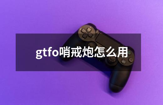 gtfo哨戒炮怎么用-第1张-游戏信息-龙启网