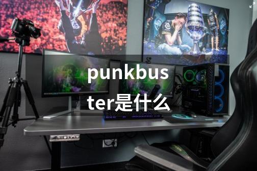 punkbuster是什么-第1张-游戏信息-龙启网