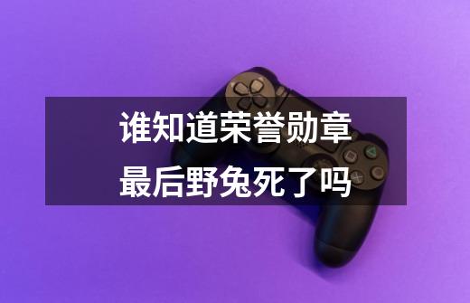 谁知道荣誉勋章最后野兔死了吗-第1张-游戏信息-龙启网