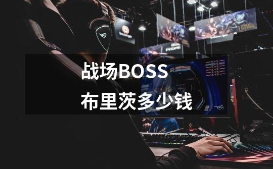 战场BOSS布里茨多少钱-第1张-游戏信息-龙启网