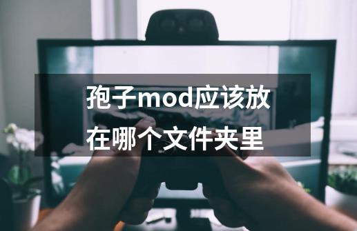 孢子mod应该放在哪个文件夹里-第1张-游戏信息-龙启网