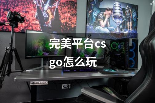 完美平台csgo怎么玩-第1张-游戏信息-龙启网