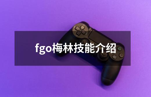 fgo梅林技能介绍-第1张-游戏信息-龙启网