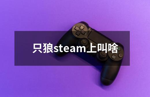 只狼steam上叫啥-第1张-游戏信息-龙启网