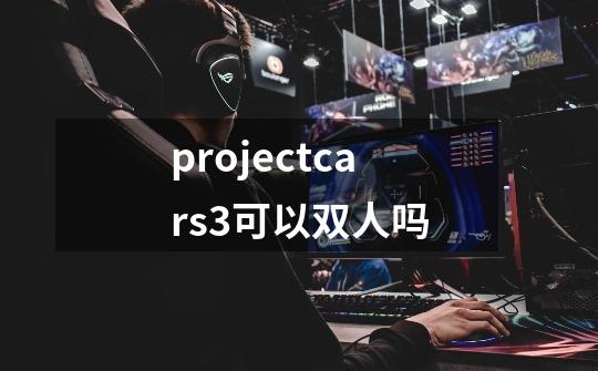 projectcars3可以双人吗-第1张-游戏信息-龙启网