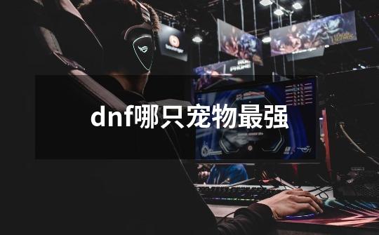 dnf哪只宠物最强-第1张-游戏信息-龙启网