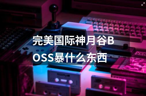 完美国际神月谷BOSS暴什么东西-第1张-游戏信息-龙启网