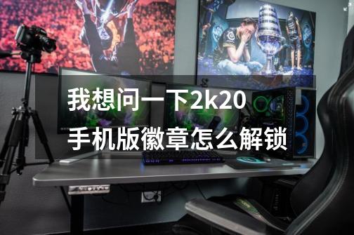 我想问一下2k20手机版徽章怎么解锁-第1张-游戏信息-龙启网