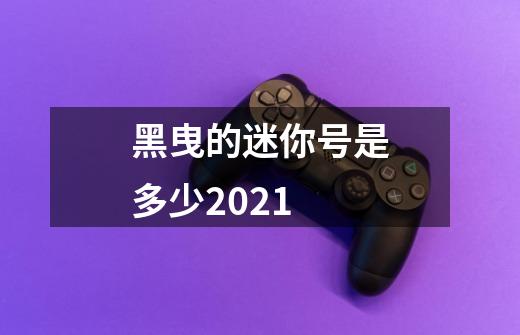 黑曳的迷你号是多少2021-第1张-游戏信息-龙启网