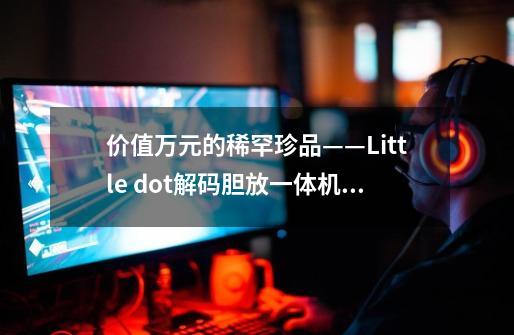 价值万元的稀罕珍品——Little dot解码胆放一体机你懂吗-第1张-游戏信息-龙启网