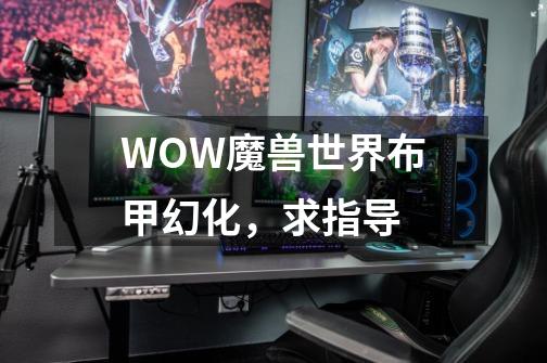 WOW魔兽世界布甲幻化，求指导-第1张-游戏信息-龙启网