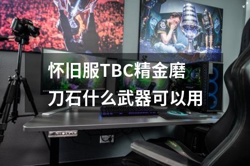 怀旧服TBC精金磨刀石什么武器可以用-第1张-游戏信息-龙启网