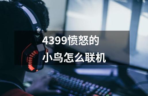 4399愤怒的小鸟怎么联机-第1张-游戏信息-龙启网