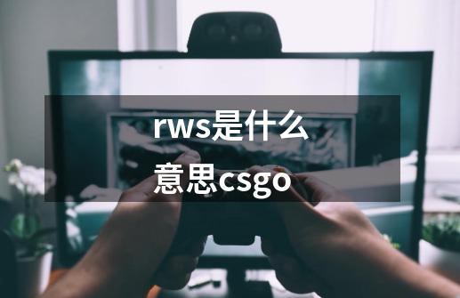 rws是什么意思csgo-第1张-游戏信息-龙启网