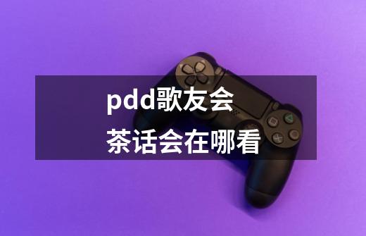 pdd歌友会茶话会在哪看-第1张-游戏信息-龙启网