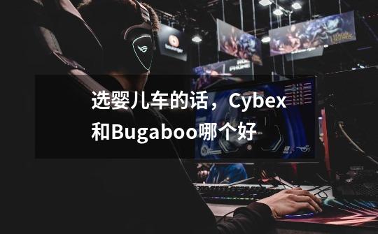 选婴儿车的话，Cybex和Bugaboo哪个好-第1张-游戏信息-龙启网