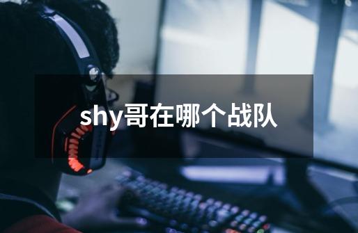 shy哥在哪个战队-第1张-游戏信息-龙启网