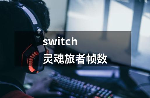 switch灵魂旅者帧数-第1张-游戏信息-龙启网