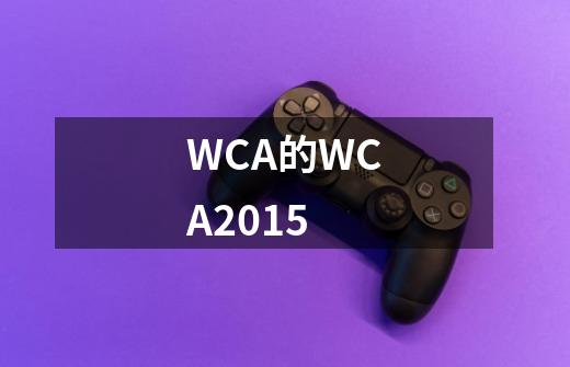 WCA的WCA2015-第1张-游戏信息-龙启网