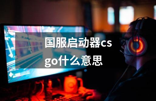 国服启动器csgo什么意思-第1张-游戏信息-龙启网