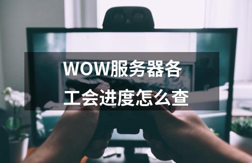 WOW服务器各工会进度怎么查-第1张-游戏信息-龙启网